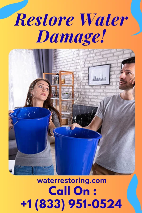water restoration Stellar Emergency Restoration Professionals Dayton